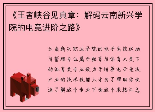 《王者峡谷见真章：解码云南新兴学院的电竞进阶之路》